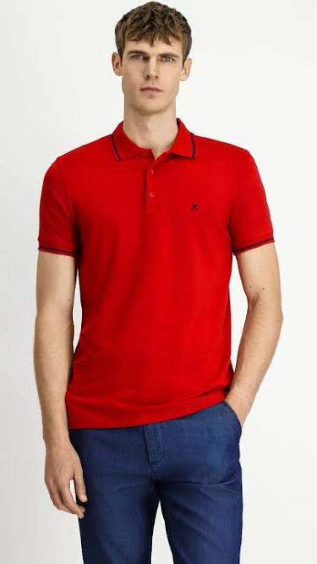 Polo Yaka Slim Fit Dar Kesim Nakışlı Süprem Pamuklu Tişört