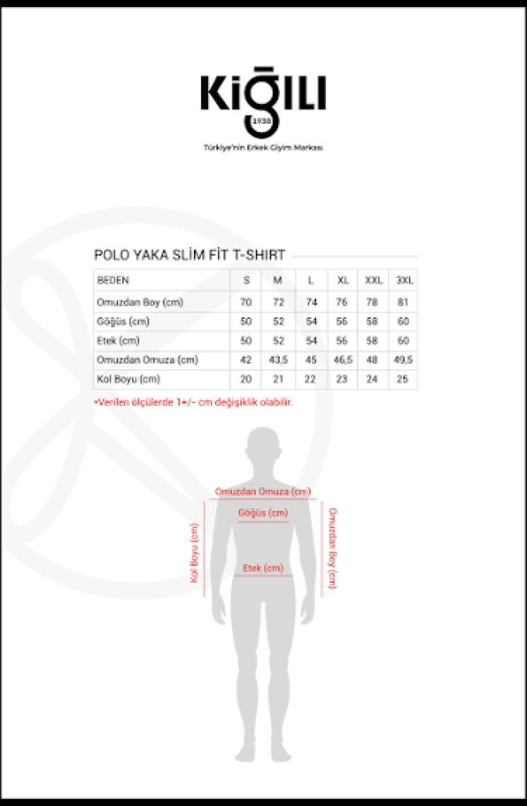 Polo Yaka Slim Fit Dar Kesim Nakışlı Süprem Pamuklu Tişört