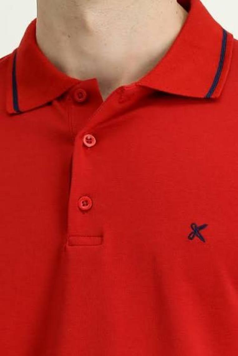 Polo Yaka Slim Fit Dar Kesim Nakışlı Süprem Pamuklu Tişört