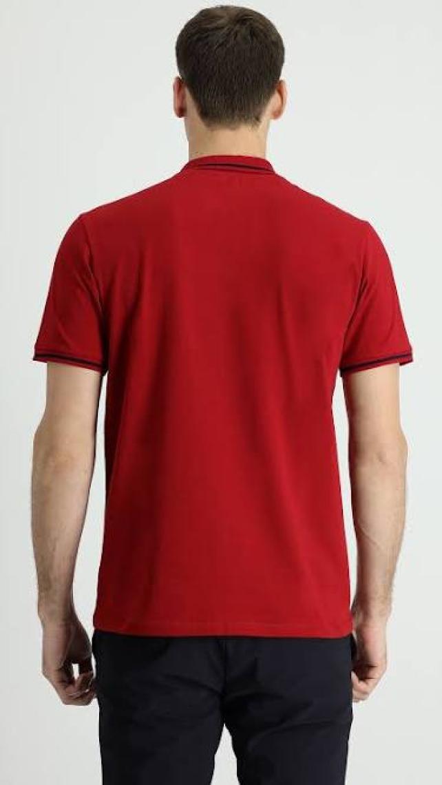 Polo Yaka Slim Fit Dar Kesim Nakışlı Süprem Pamuklu Tişört