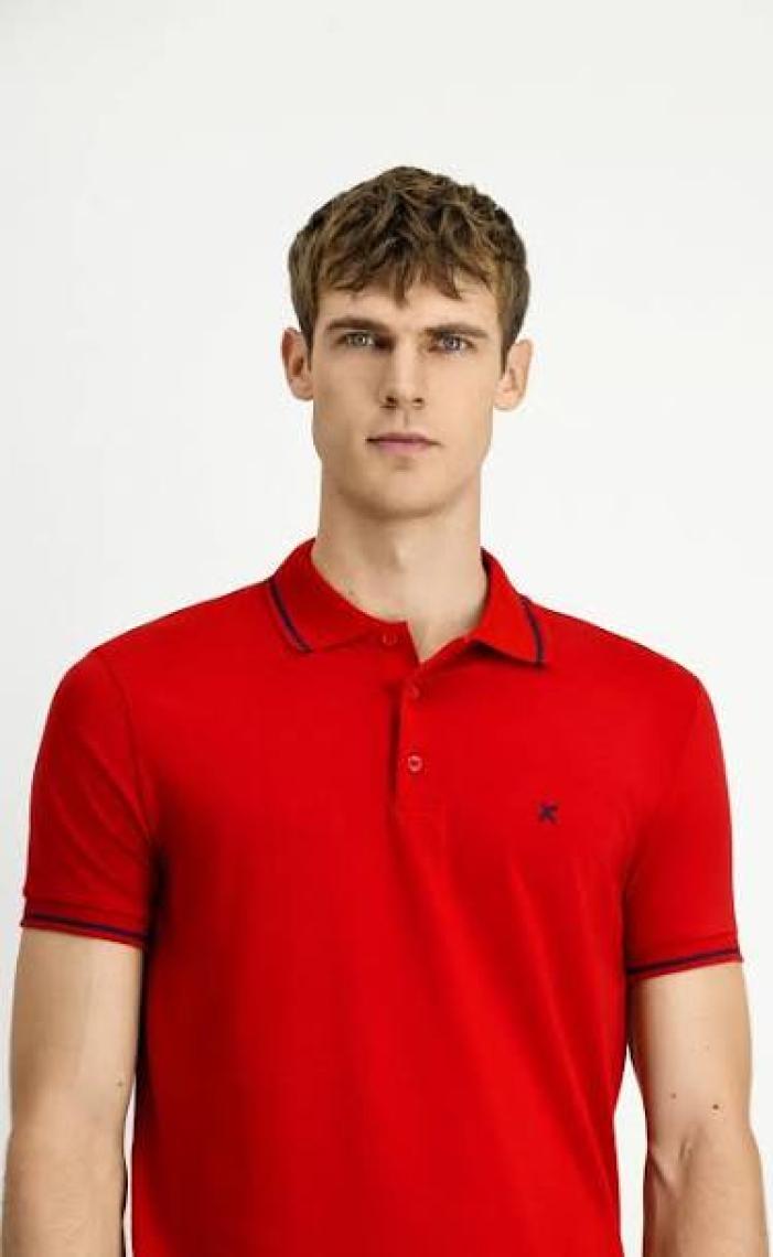 Polo Yaka Slim Fit Dar Kesim Nakışlı Süprem Pamuklu Tişört
