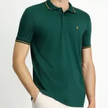Polo Yaka Slim Fit Dar Kesim Nakışlı Süprem Pamuklu Tişört