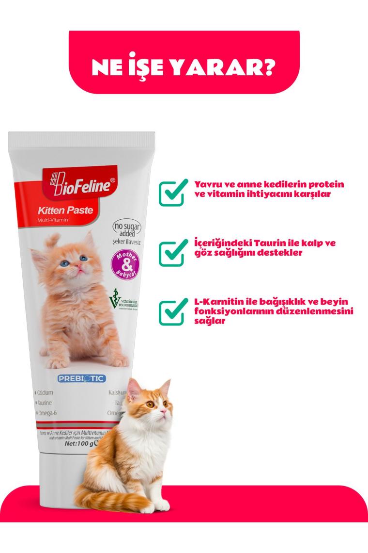 Yavru Kedi Macun 100g | Yavru ve Anne Kediler İçin Bağışıklık Sistemi Destekleyici Macun
