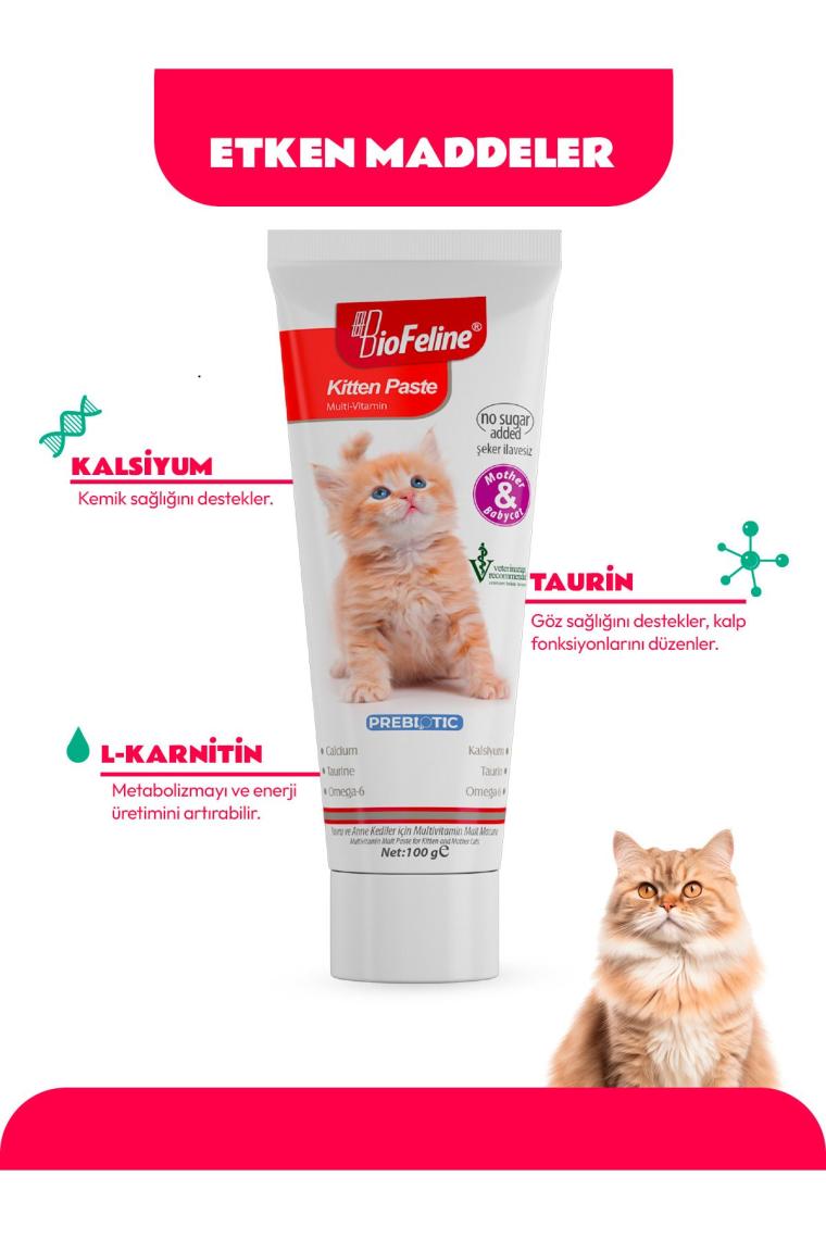 Yavru Kedi Macun 100g | Yavru ve Anne Kediler İçin Bağışıklık Sistemi Destekleyici Macun
