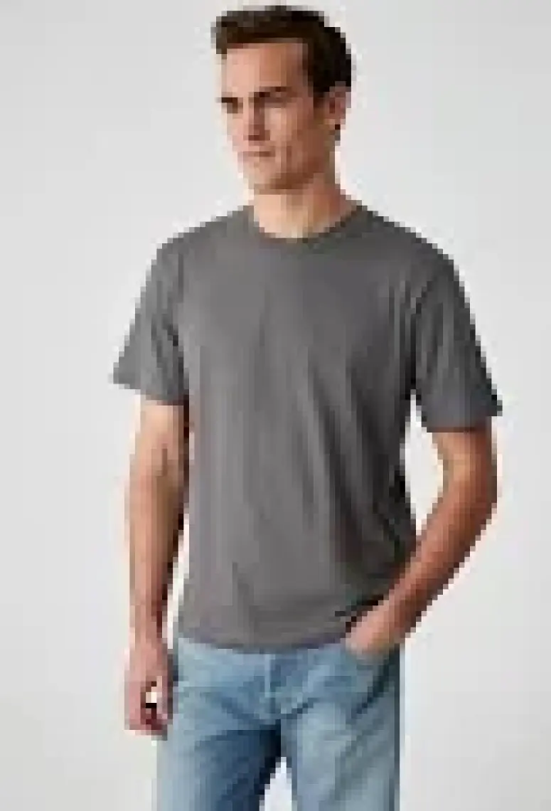 Grimelange Solo Erkek  Organik Pamuklu Kalın Dokulu Comfort Fit Bisiklet Yakalı Gri T-Shirt