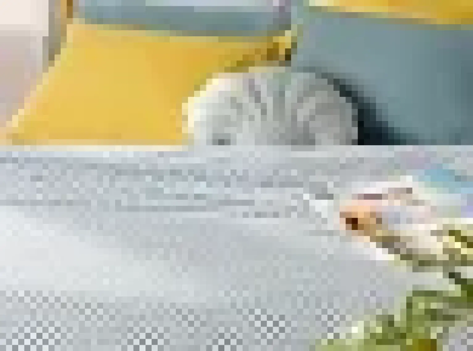 English Home Petit Florets Baskılı Çift Kişilik Pike 200 x 220 cm Petrol Yeşili