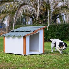 Standart Köpek Kulübesi