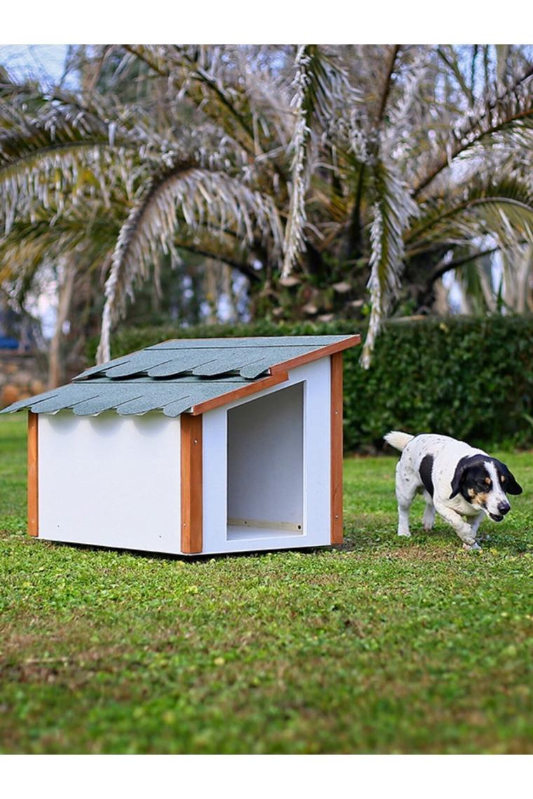 Standart Köpek Kulübesi