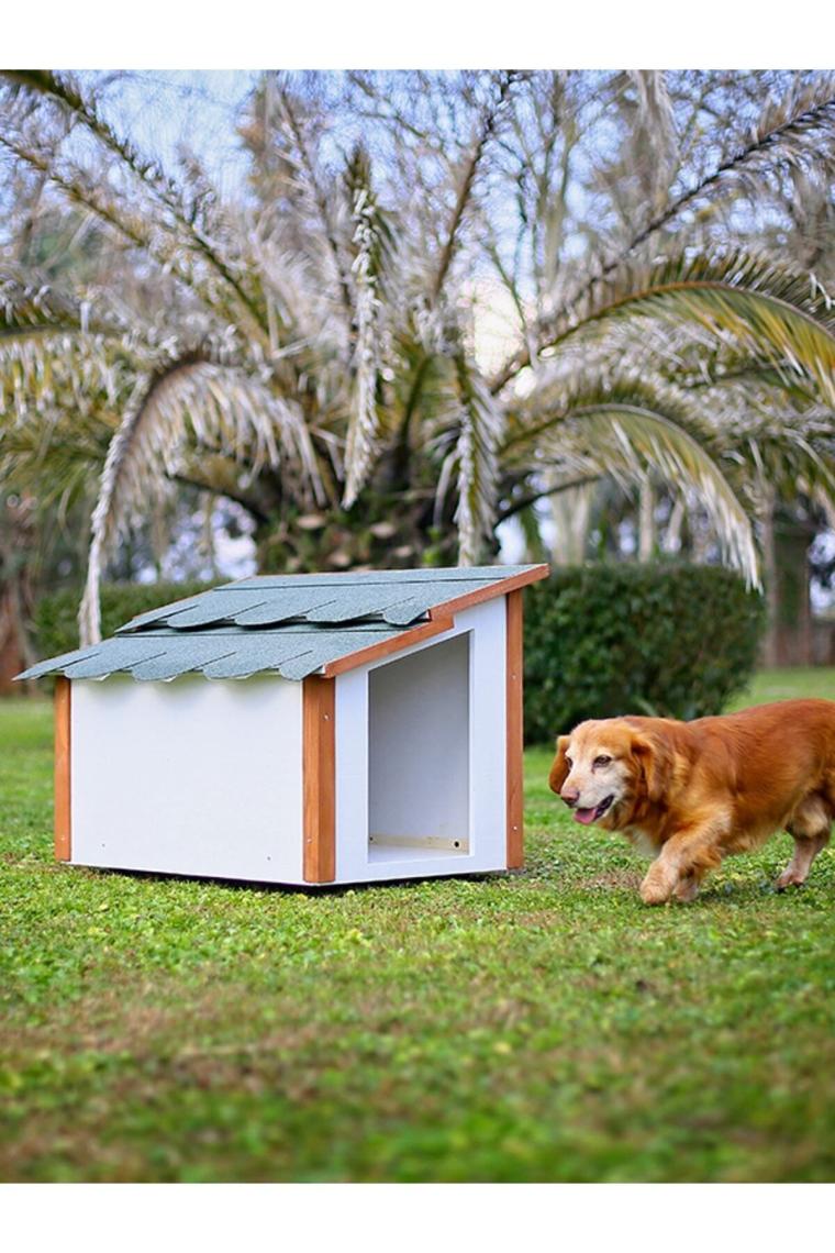 Standart Köpek Kulübesi