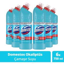 Çamaşır Suyu Yoğun Kıvamlı Okaliptus Ferahlığı 750 ml 6 Adet