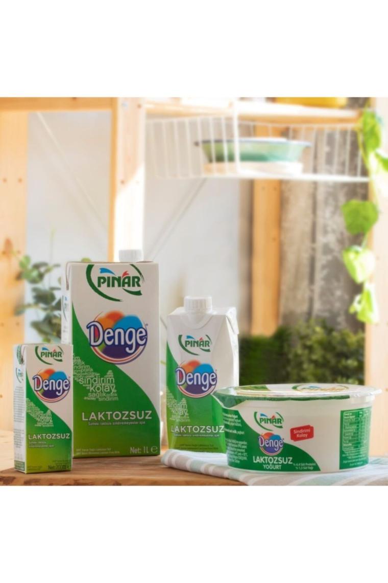 Laktozsuz Süt Denge 200 Ml 27'li