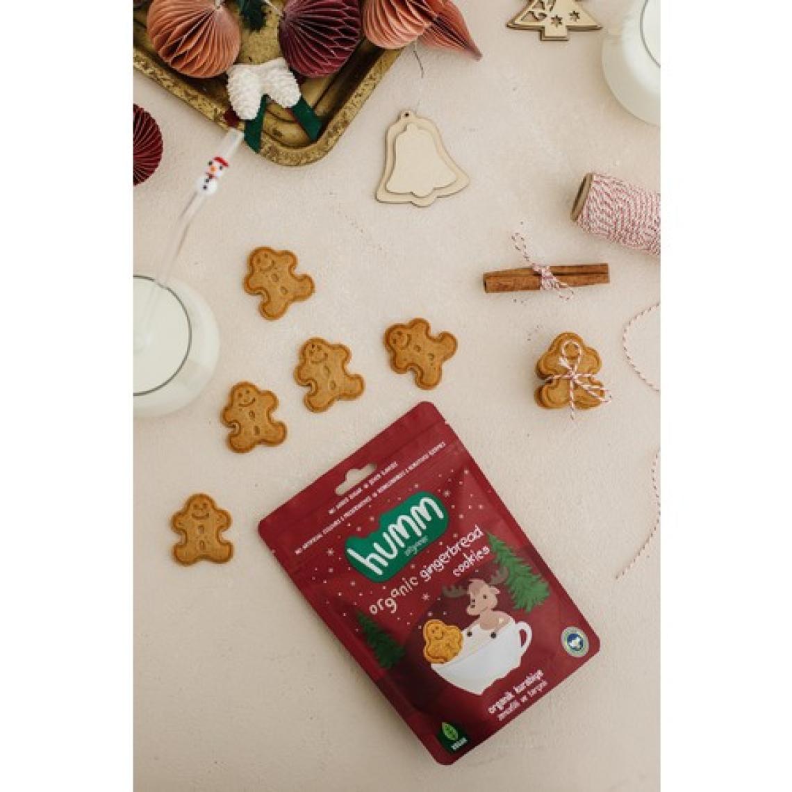 Humm Organic - Organik Vegan Zencefilli ve Tarçınlı Kurabiye Atıştırmalık Paketi - 6 Adet
