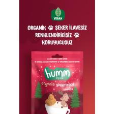 Humm Organic - Organik Vegan Zencefilli ve Tarçınlı Kurabiye Atıştırmalık Paketi - 6 Adet