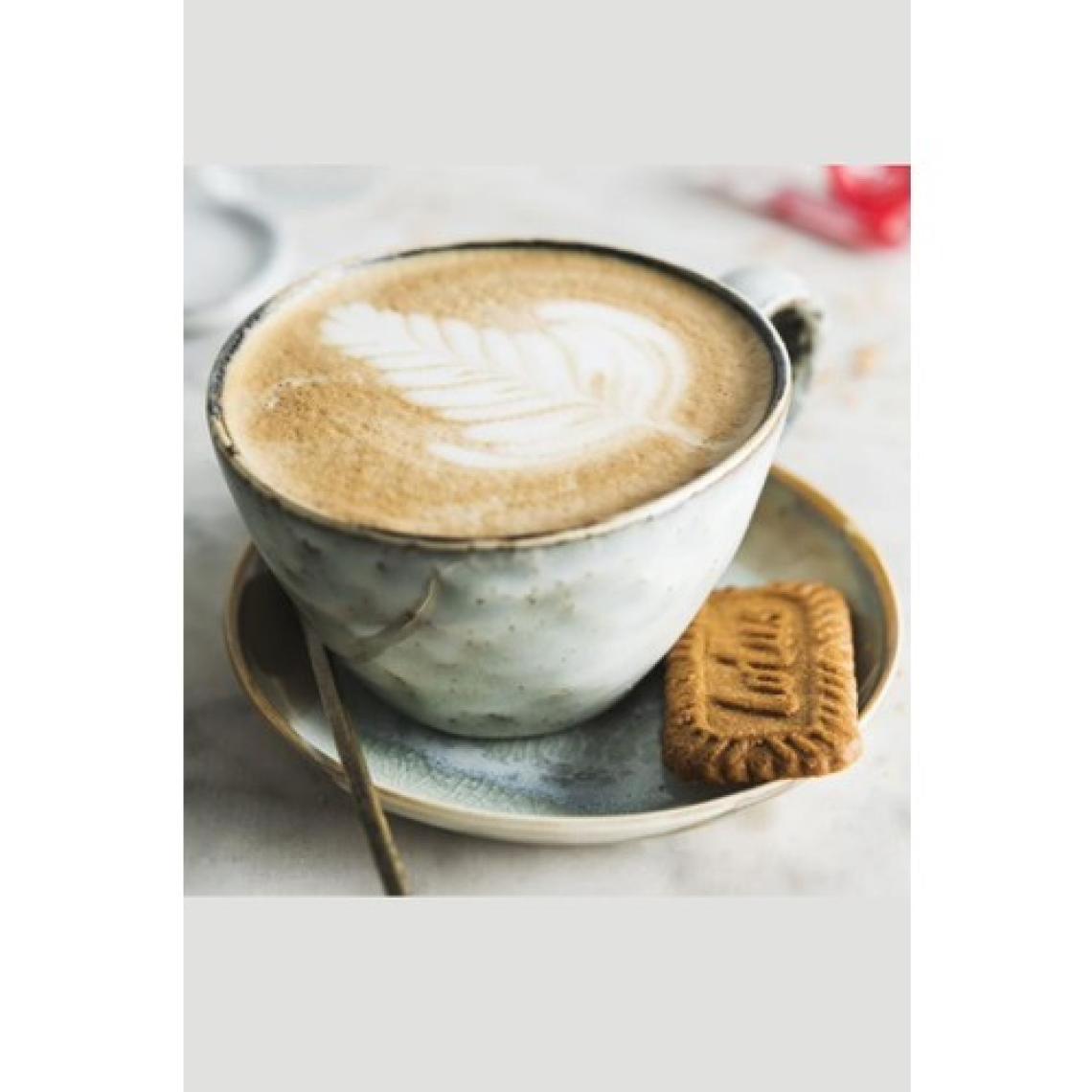 Lotus Biscoff 125 G x 2