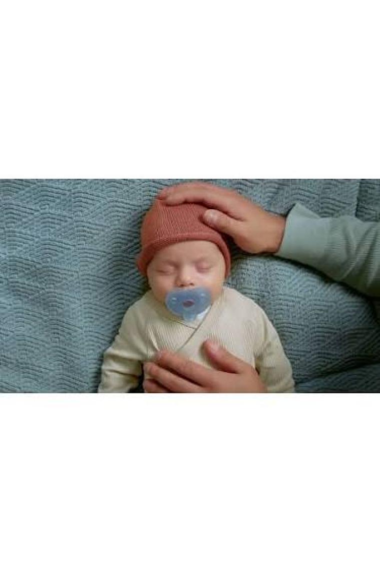 Philips Avent Soothie Ortodontik Saklama Kutulu 2li Emzik 0-6 Ay - Erkek