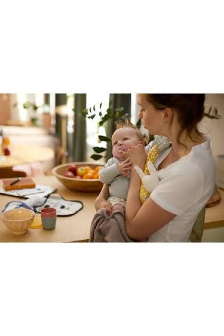 Philips Avent Soothie Ortodontik Saklama Kutulu 2li Emzik 0-6 Ay - Erkek
