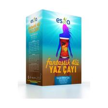 Fantastik Dörtlü Yaz Çayı 45 Poşet