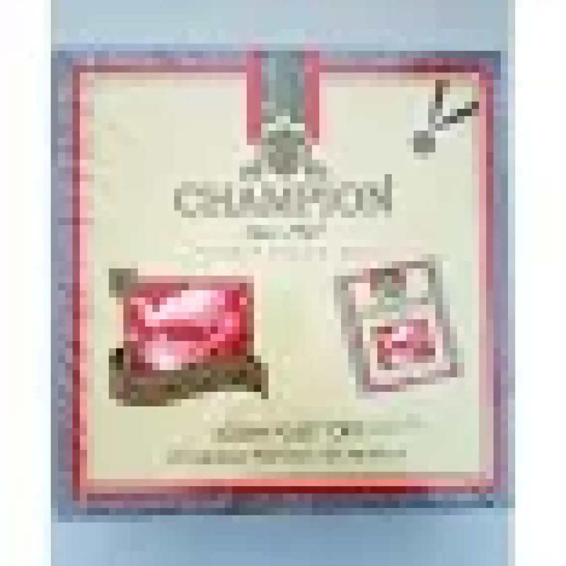 Champion Bardak Poşet 100 lü (Seylan Çayı - Ceylon Tea)