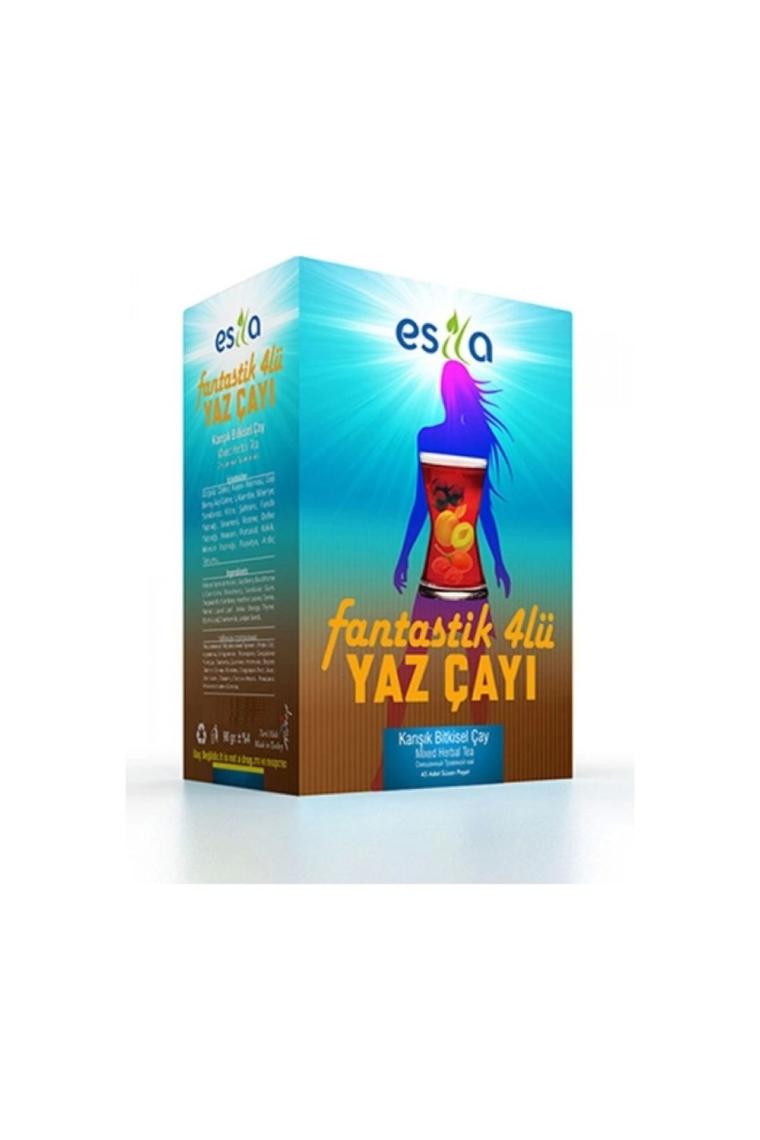 Fantastik Dörtlü Yaz Çayı 45 Poşet