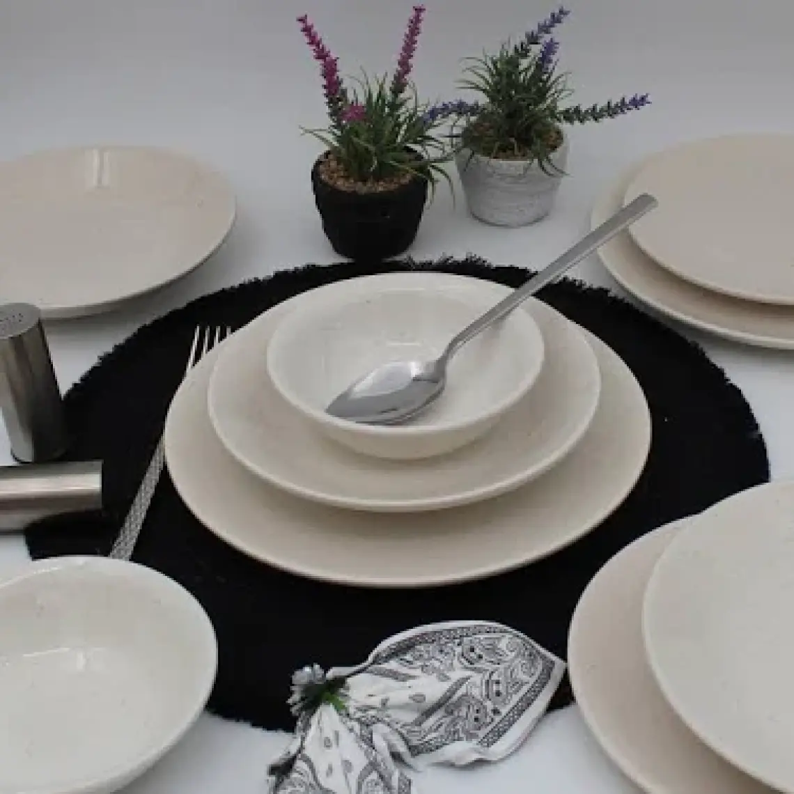 Arna Porselen Arna 8 Parça 2 Kişilik Yemek Takımı- Simli