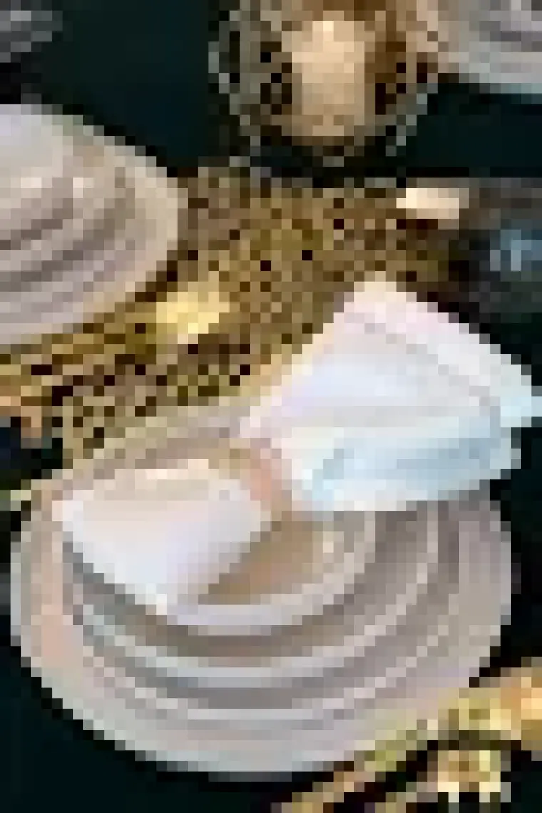 Heda Porselen Rüya Kırık Beyaz 24 Parça 6 Kişilik Porselen Yemek Takımı