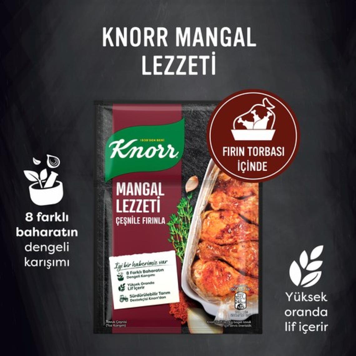 Knorr  Mangal Lezzeti 29 g