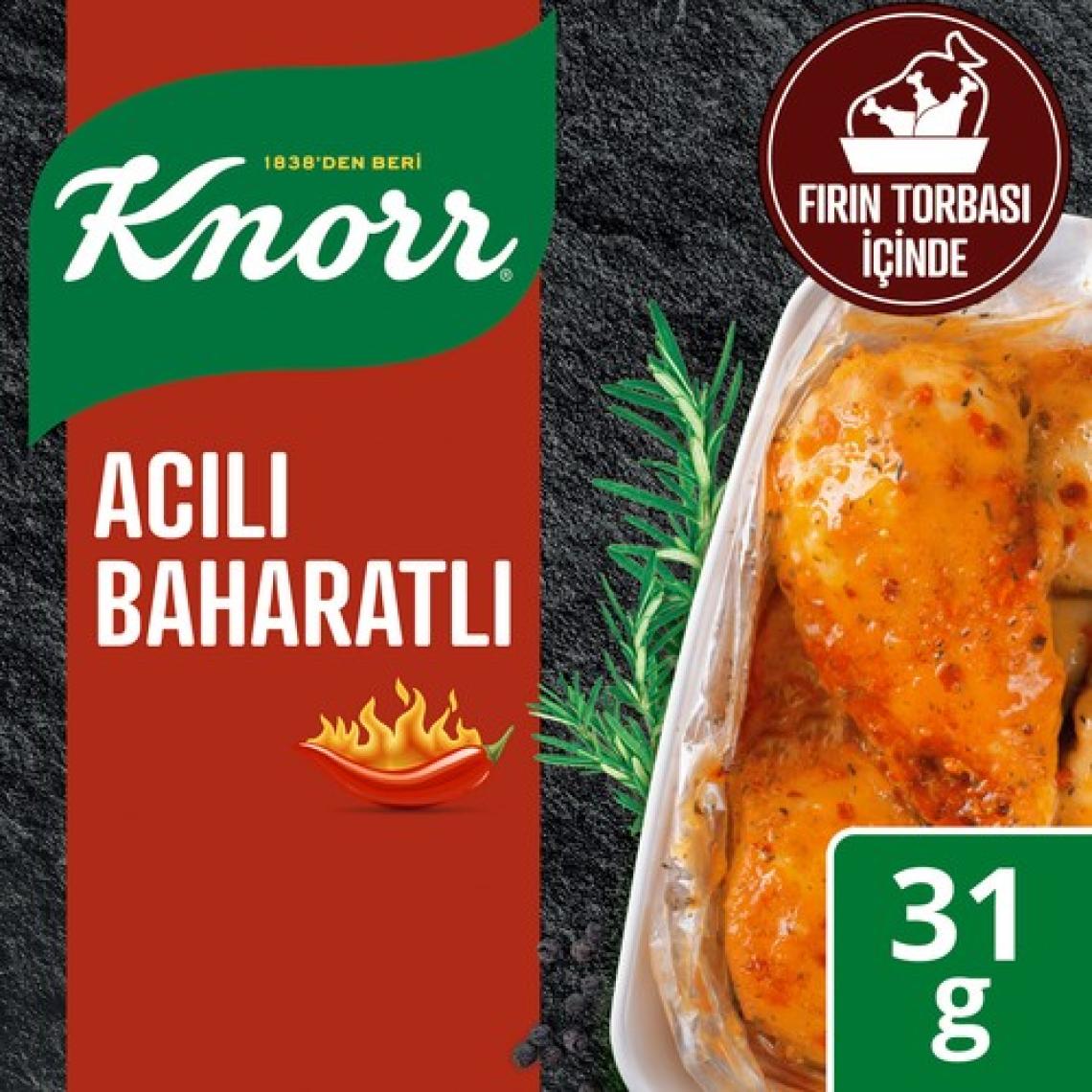 Knorr Çeşni Acılı Baharatlı Çeşnile Fırınla 31 g