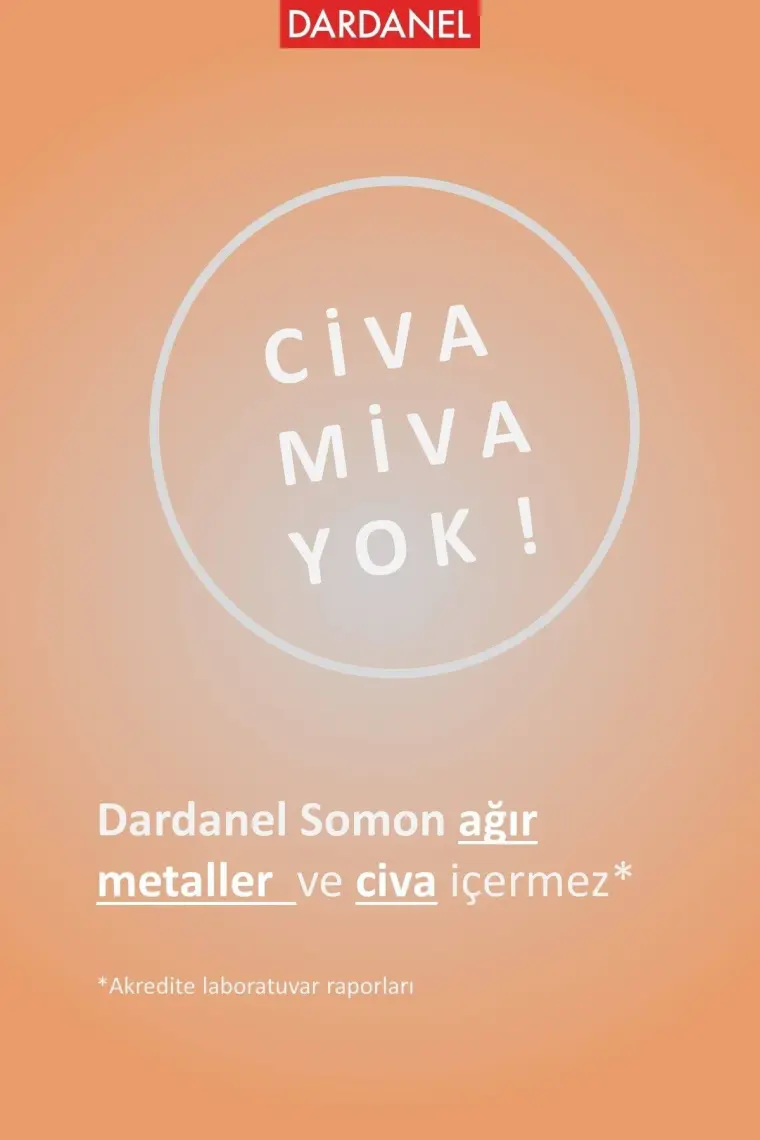 Dardanel Somon- 110GR Dardanel Z.yağlı Somon
