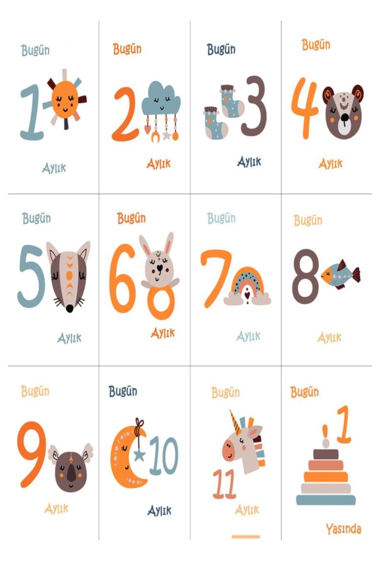 Hediyelik Bebek Bornozu Ve Anı Kartları, Yeni Doğan Kız Hayvanlı Fil Havlu Bornoz %100 Pamuk 0-12 Ay
