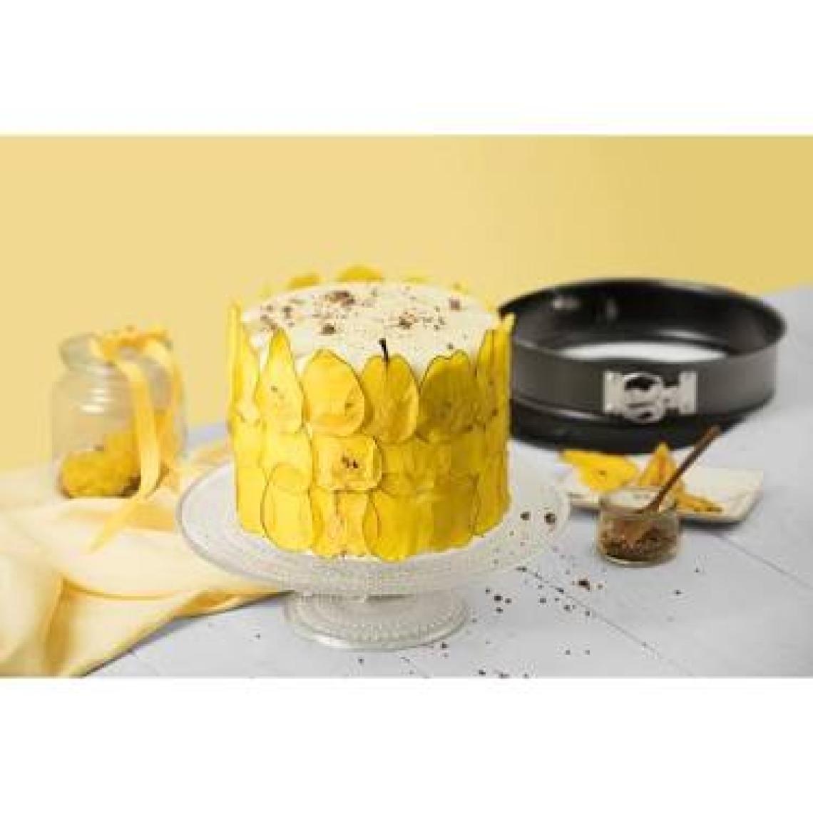 Kaiser Kelepçeli Kek Kalıbı 20 cm