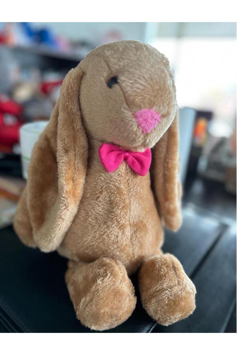 LED Işıklı, Uyku Arkadaşı Uzun Kulak Bunny Peluş Tavşan 65CM