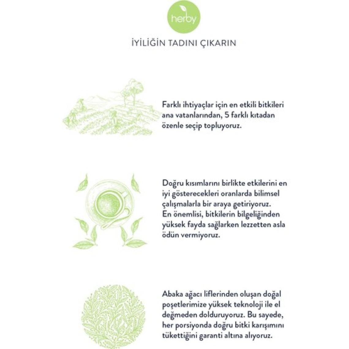 Herby Fit Tea Elma Sirkeli Ananaslı Diyete Destek Form Bitki Çayı