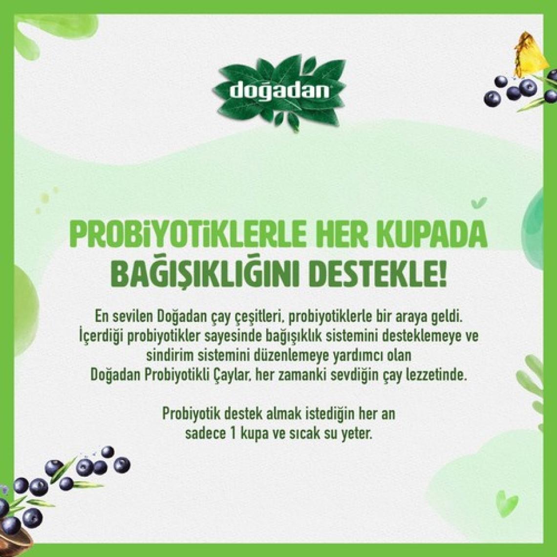 Doğadan Probiyotikli Yeşil Çay Açai Ananas 2 x 14'lü