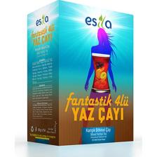 Esila Fantastik Dörtlü Yaz Çayı