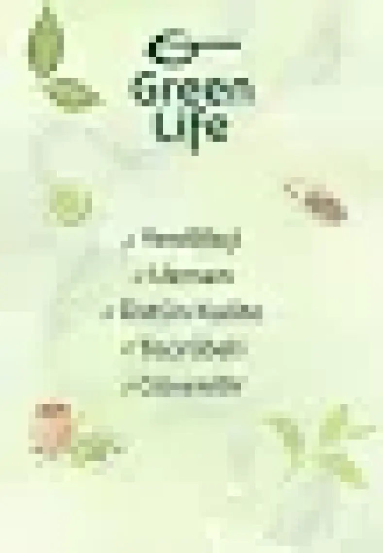 Green Life Zencefil Kök - 100 gr - Poşet