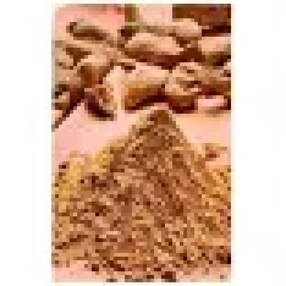 Green Life Zencefil Kök - 100 gr - Poşet