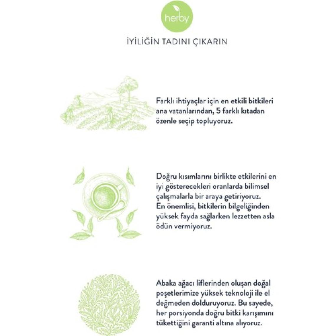 Herby Detox Tea Diyete Destek Detoks Bitki Çayı 4'lü Paket