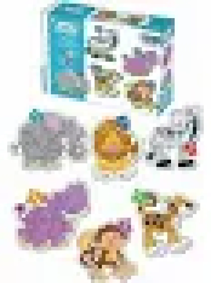 Diytoy Baby Puzzle Orman Hayvanları