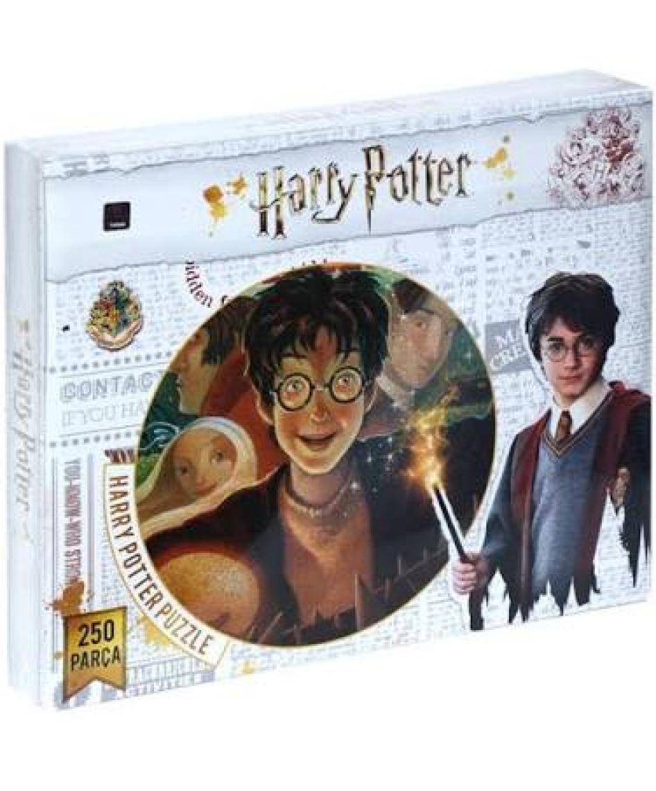 Harry Potter 250 Parça Çocuk Puzzle