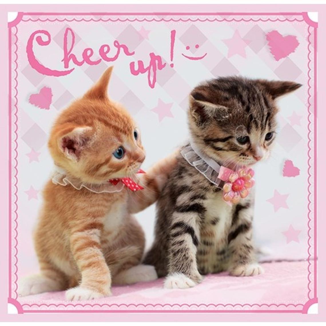 Trefl 3'lü Puzzle Sevimli Kedi Yavruları Puzzle (20+36+50 Parça)