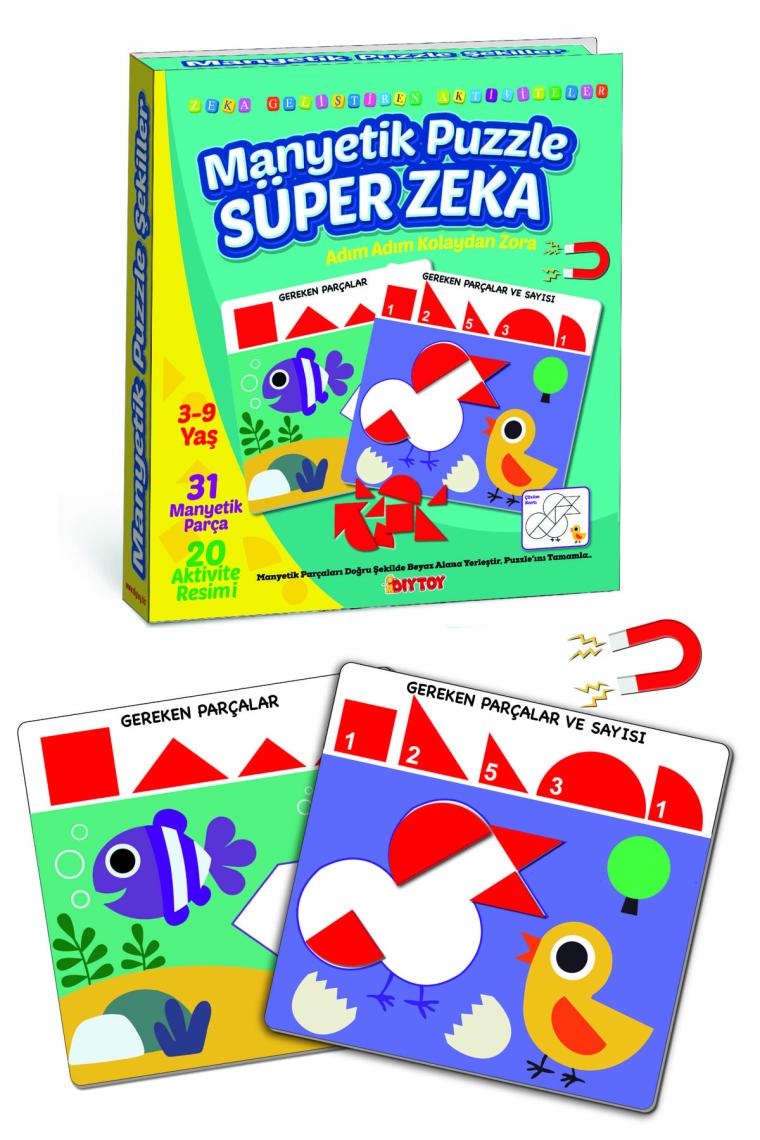 Diytoy Manyetik Puzzle Süper Zeka