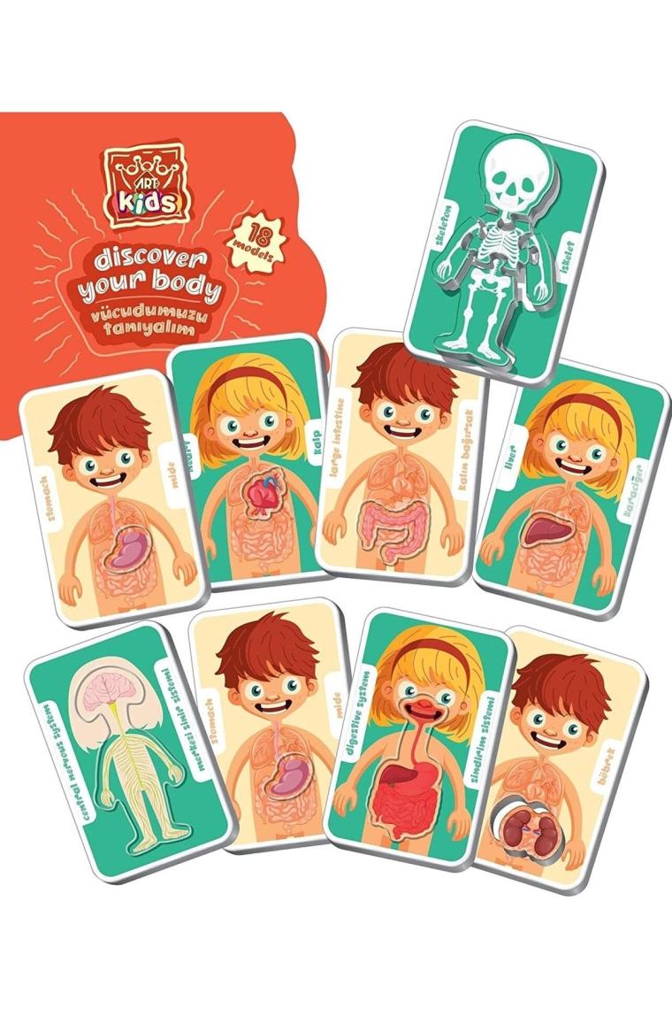 Art Puzzle Art Kids Vücudumuzu Tanıyalım