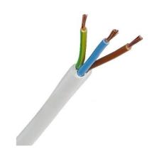 3x1.5 Ttr Topraklı Kablo Tam Bakır Kablo Beyaz 10 Metre