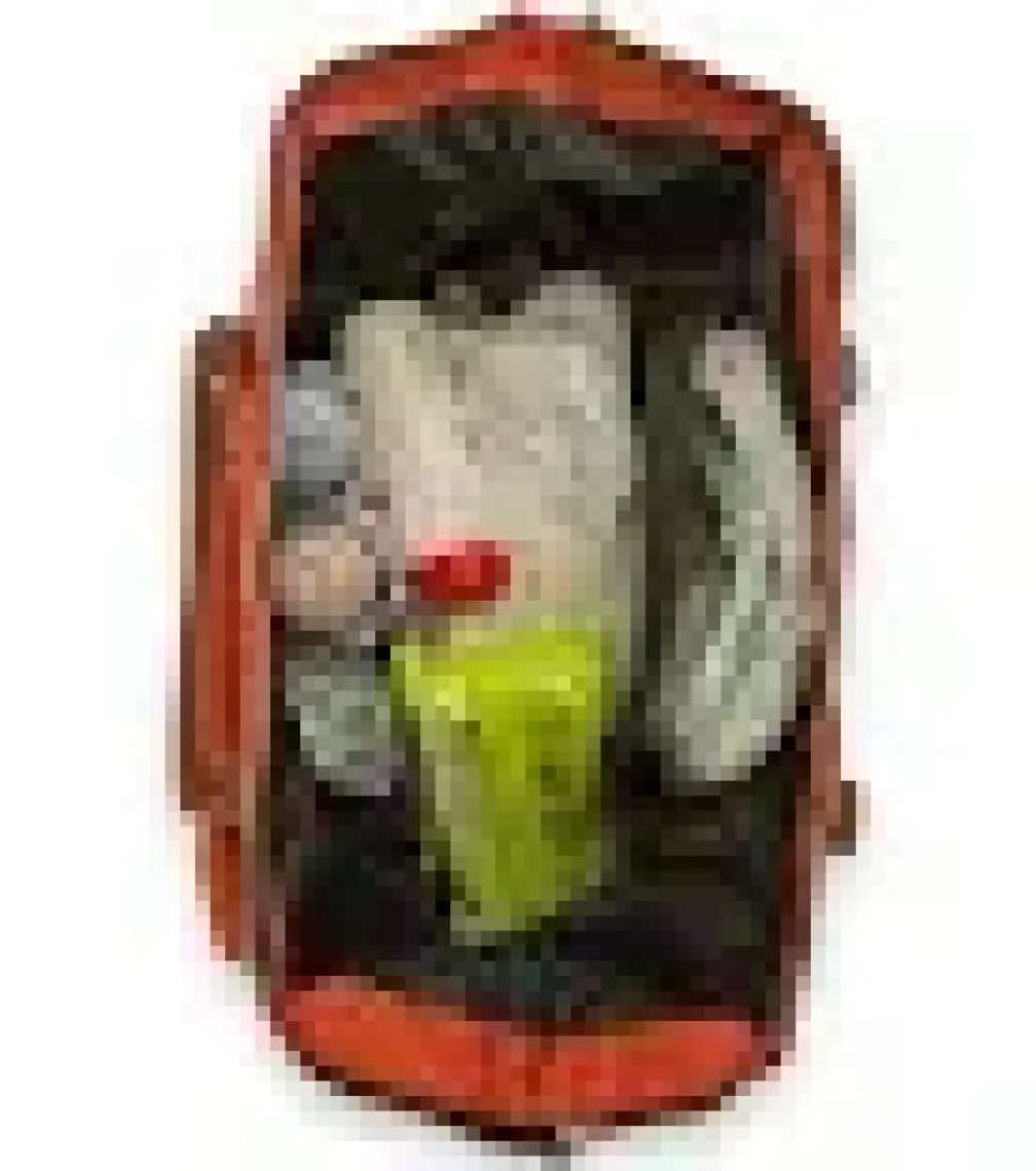 Bagmori Kiremit Baby Bag Baskılı Bebek Bakım Çantası