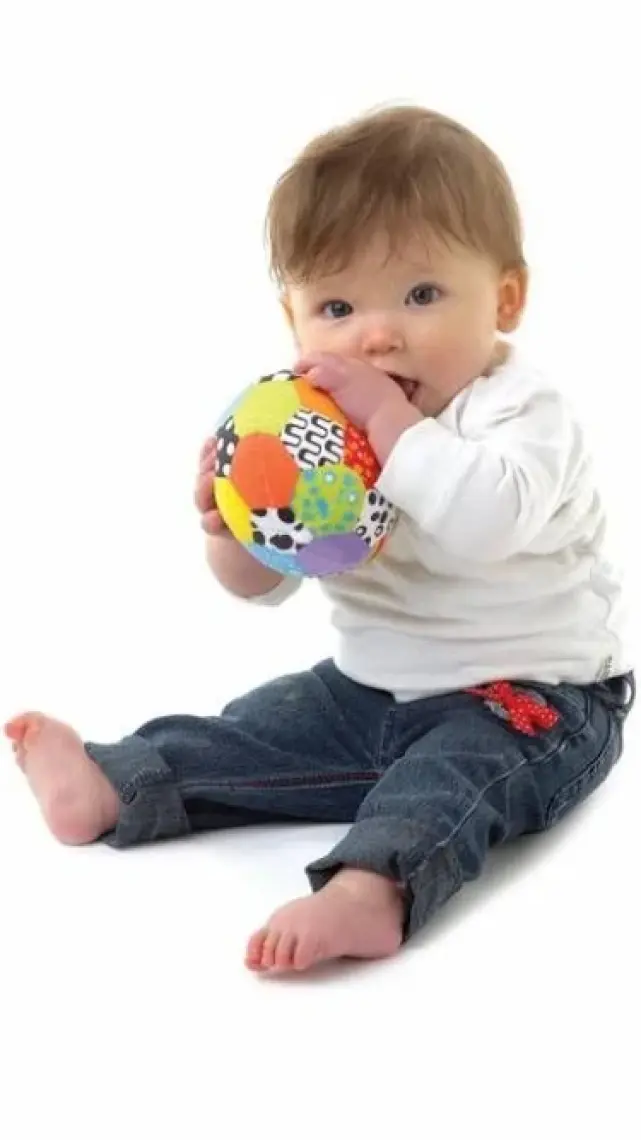 Playgro Mini Renkli Top