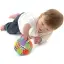 Playgro Mini Renkli Top