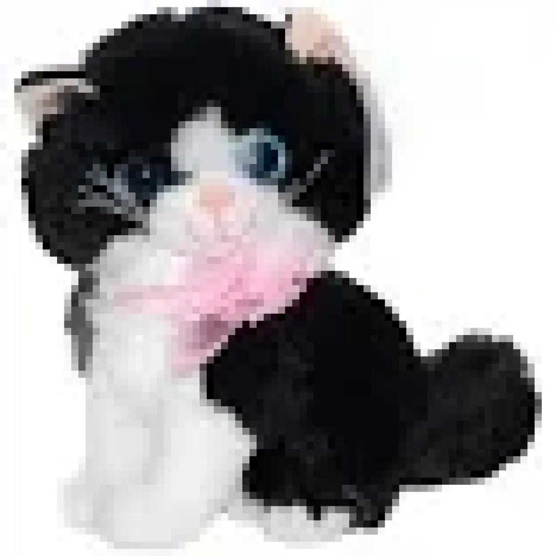 Top Rock Store CN-706 Peluş Sesli Kedi