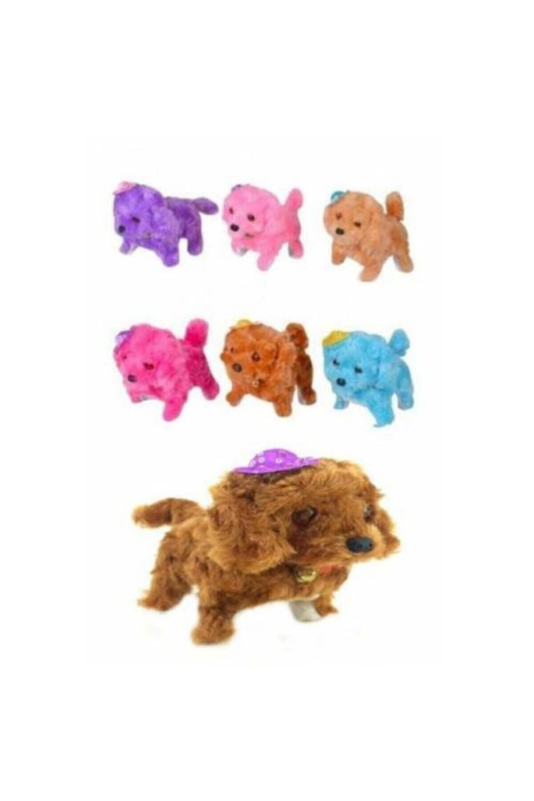 Havlayan Köpek Pilli Işıklı Yürüyor