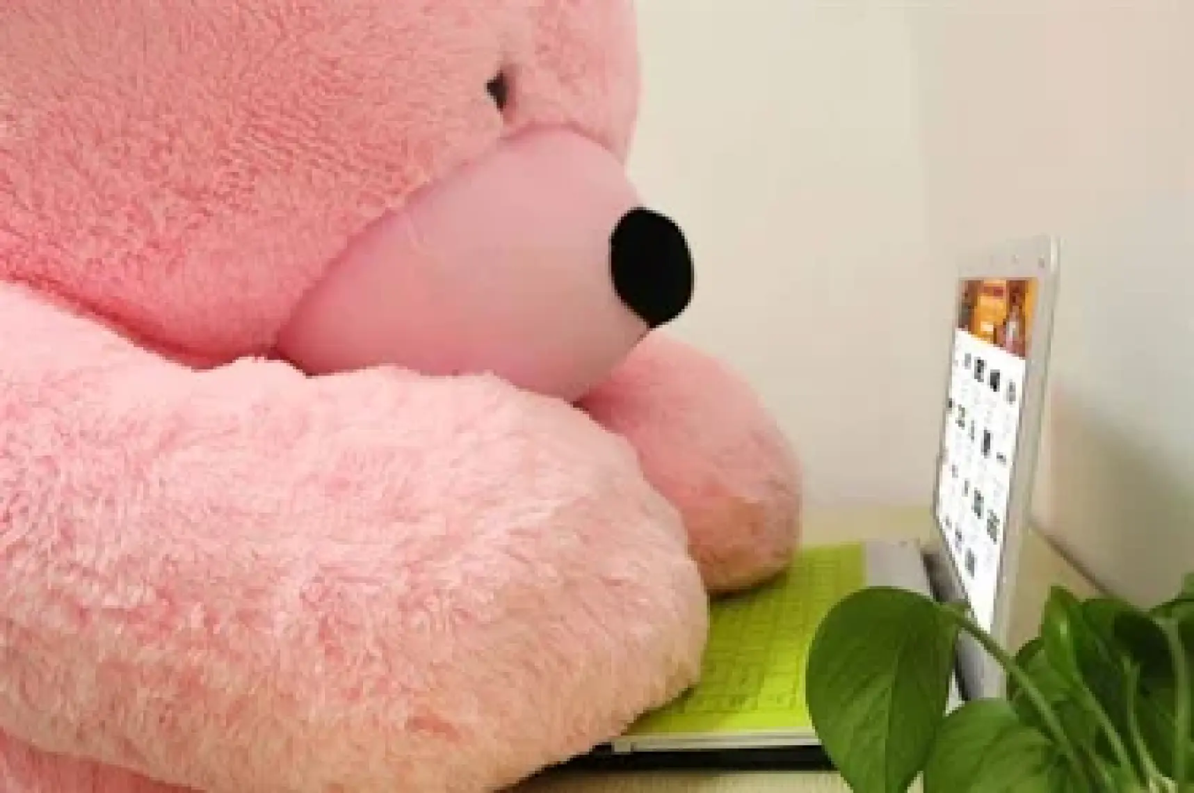 Kuki Oyuncak 160 cm Büyük Peluş Ayı