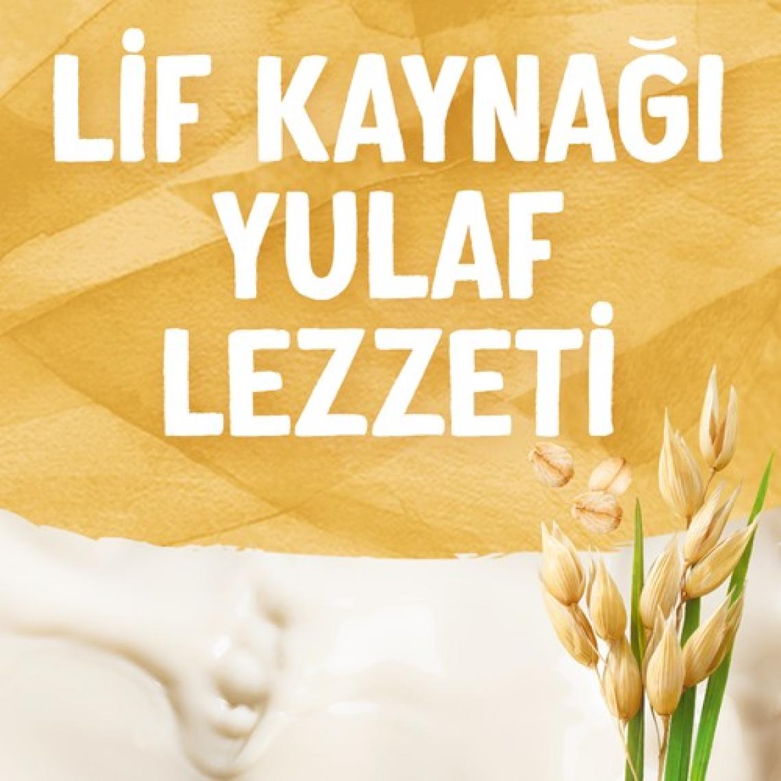 Alpro Yulaf Sütü 1 L Vegan Laktozsuz Bitkisel Bazlı